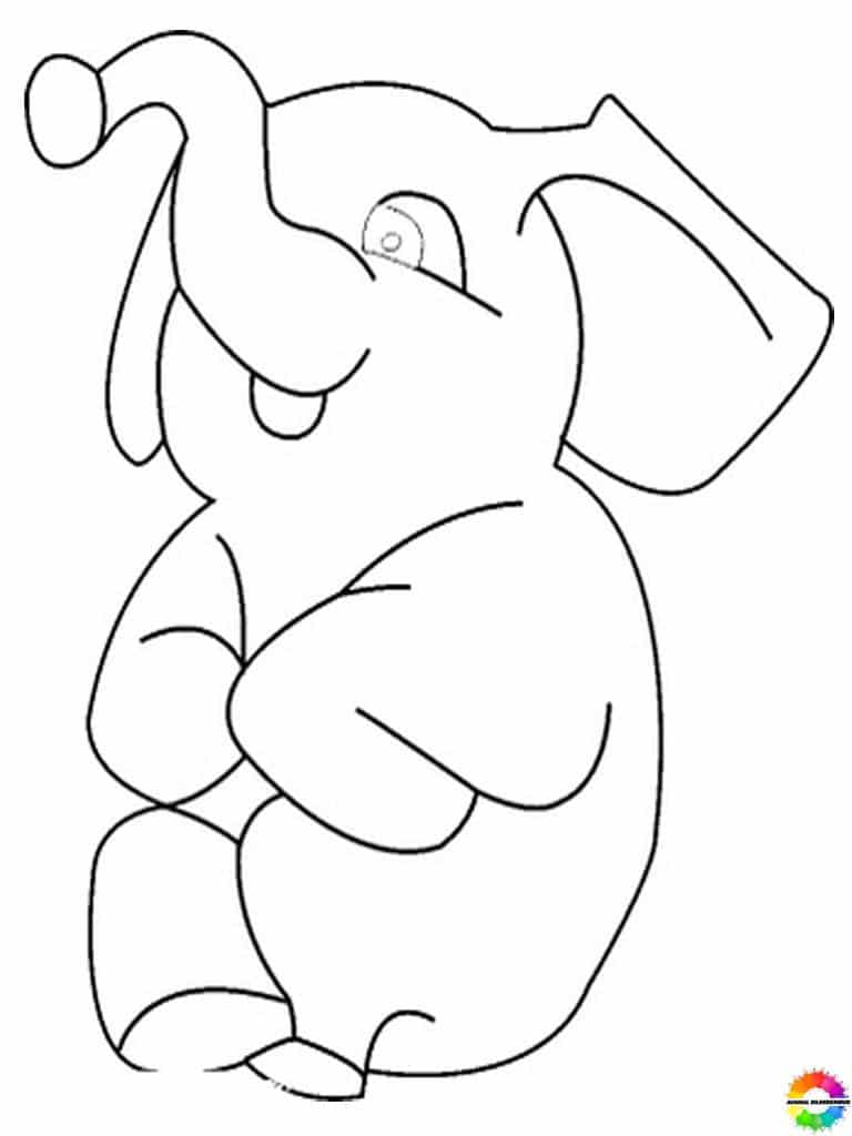 Elefant 11