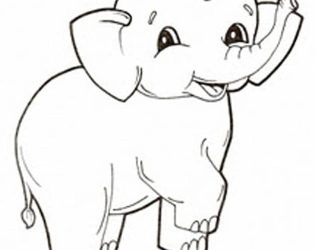 ausmalbilderkinder.de – Ausmalbilder Elefant 14