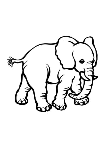 ausmalbilderkinder.de – Ausmalbilder Elefant 21