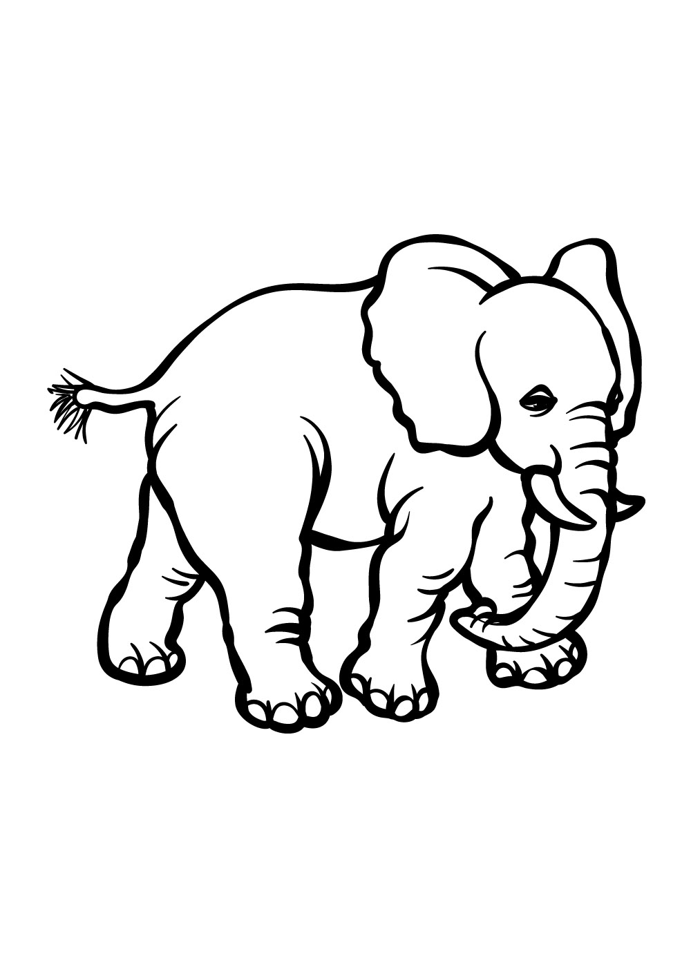 Elefant 21