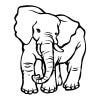 Elefant 25