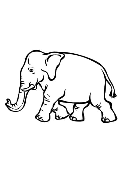 ausmalbilderkinder.de – Ausmalbilder Elefant 26