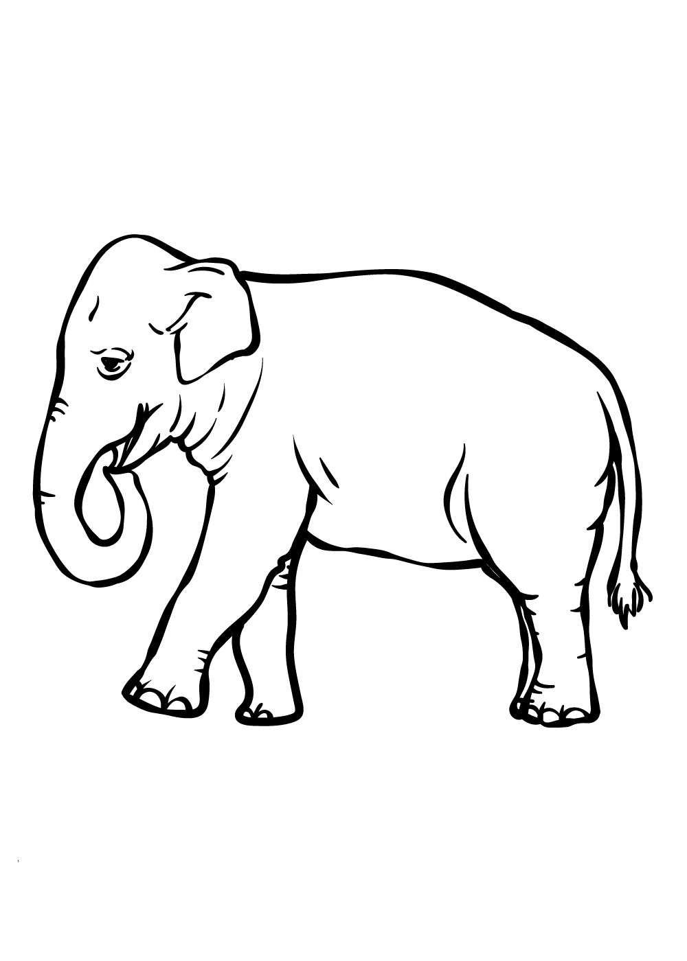 Elefant 28
