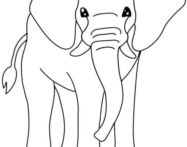 ausmalbilderkinder.de – Ausmalbilder Elefant 29