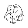 Elefant 31