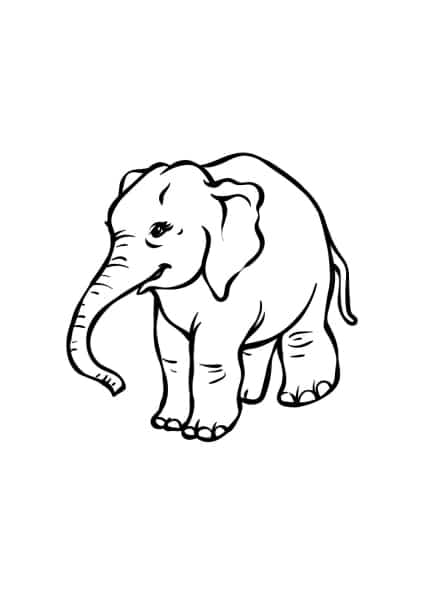 ausmalbilderkinder.de – Ausmalbilder Elefant 31