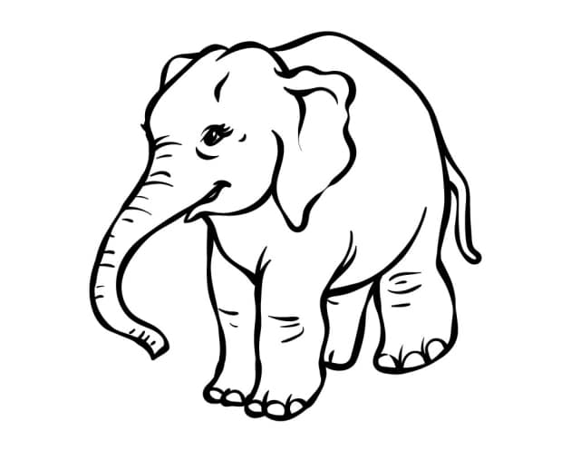 ausmalbilderkinder.de – Ausmalbilder Elefant 31