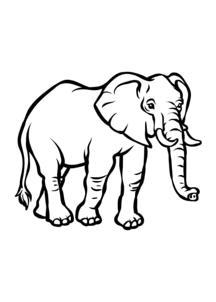 ausmalbilderkinder.de – Ausmalbilder Elefant 32