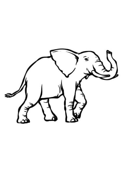 ausmalbilderkinder.de – Ausmalbilder Elefant 34