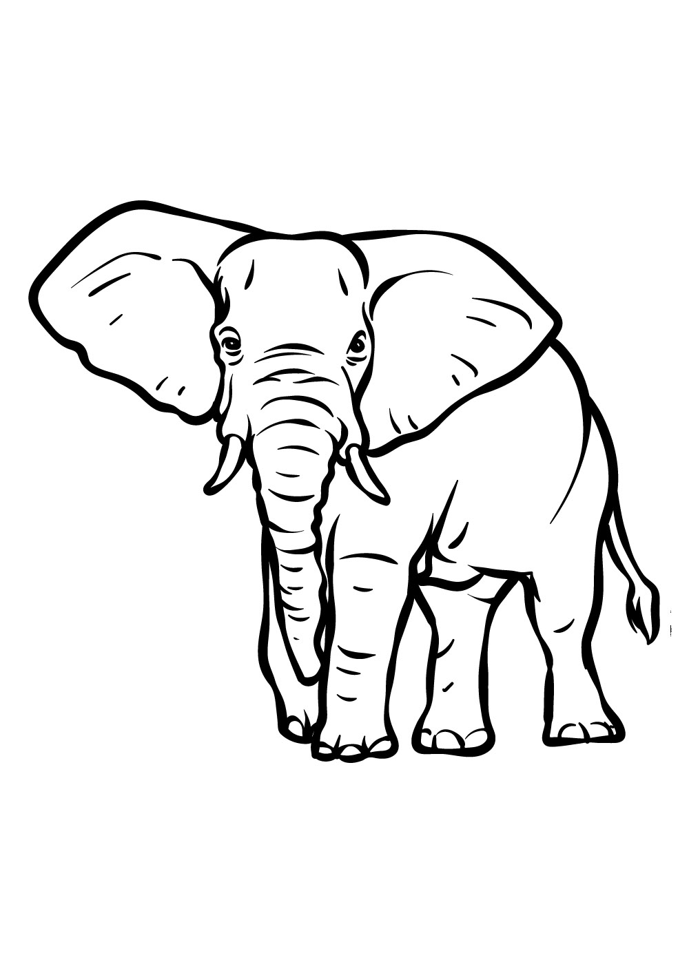 Elefant 35