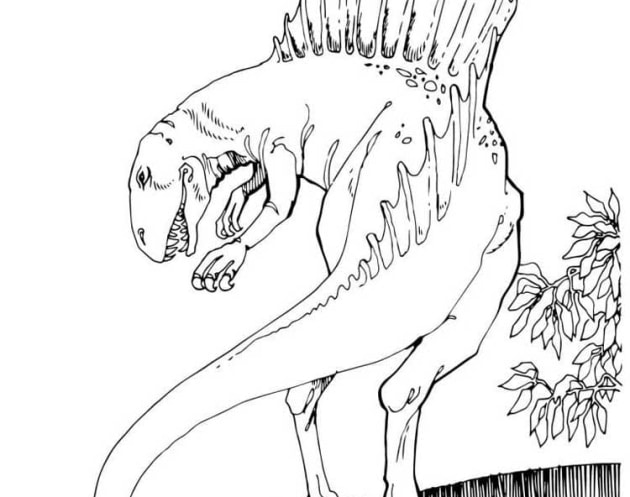 ausmalbilderkinder.de – Ausmalbilder Spinosaurus 01