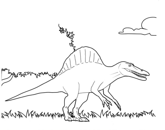 ausmalbilderkinder.de – Ausmalbilder Spinosaurus 05