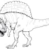 Spinosaurus 07