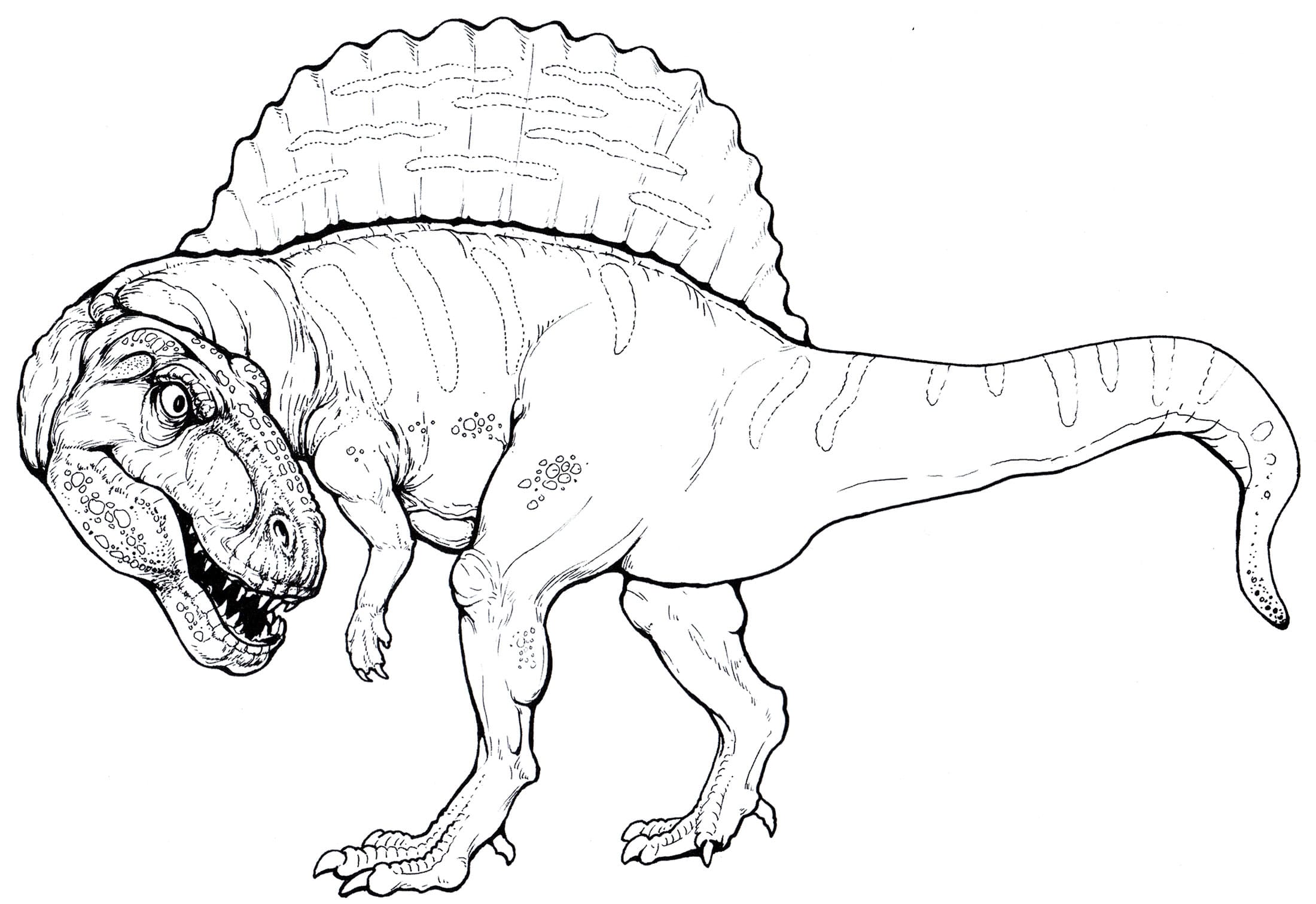ausmalbilderkinder.de – Ausmalbilder Spinosaurus 07