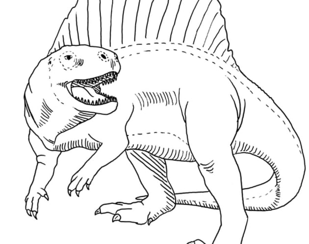 ausmalbilderkinder.de – Ausmalbilder Spinosaurus 09