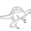 Spinosaurus 14