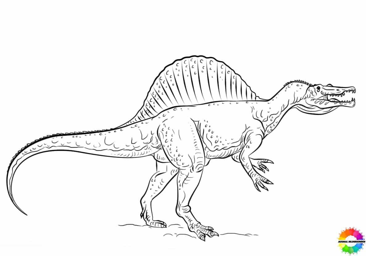 Spinosaurus 14