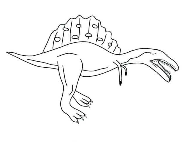ausmalbilderkinder.de – Ausmalbilder Spinosaurus 19