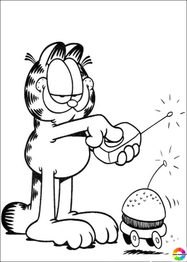 Garfield 43