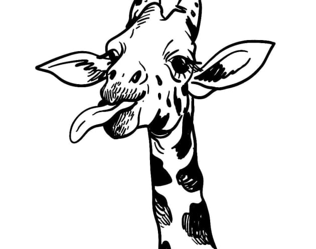Giraffe-Ausmalbilder-ausmalbilderkinder.de-02