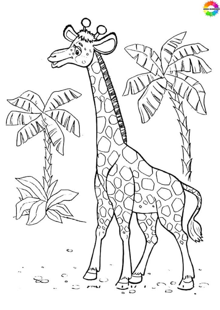 Giraffe-Ausmalbilder-ausmalbilderkinder.de-07