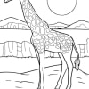 Giraffe 08