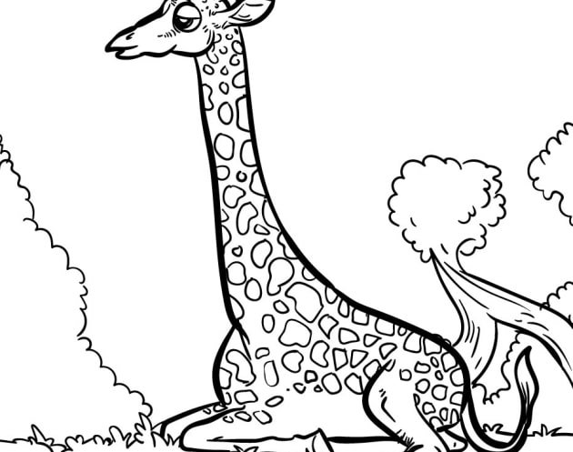 Giraffe-Ausmalbilder-ausmalbilderkinder.de-17