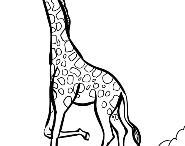 Giraffe-Ausmalbilder-ausmalbilderkinder.de-18