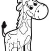 Giraffe 24