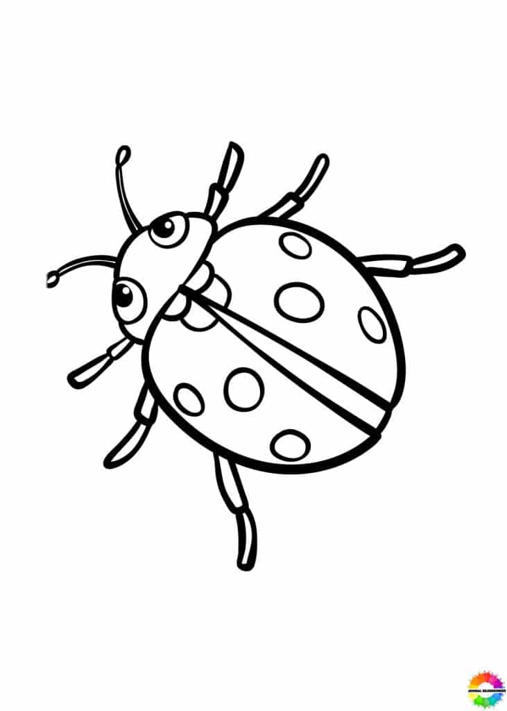  24+ Marienkäfer ausmalbilder zum ausdrucken kostenlos für kinder Motiv 