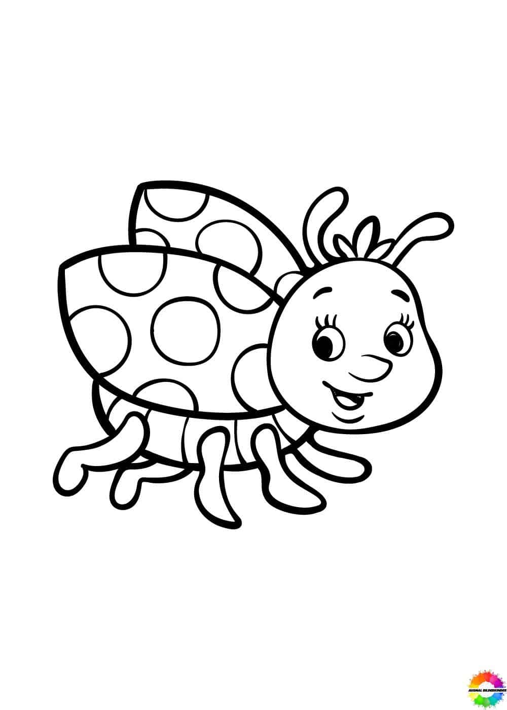 ladybug 14