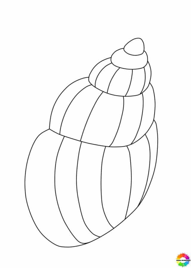 45+ Muschel ausmalbilder zum ausdrucken für kinder - Kostenlose