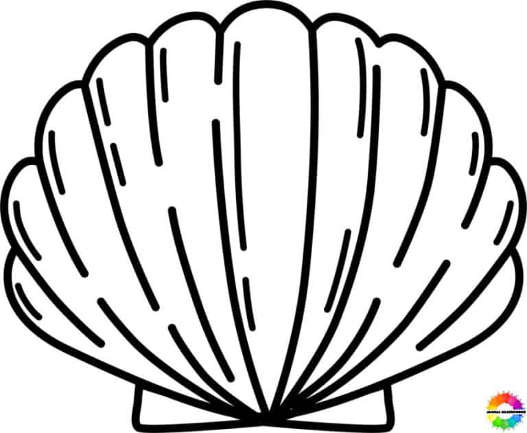 45+ Muschel ausmalbilder zum ausdrucken für kinder - Kostenlose