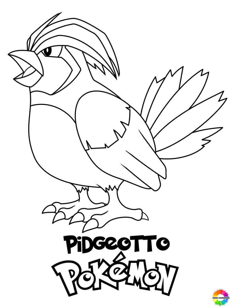 Pidgey 09