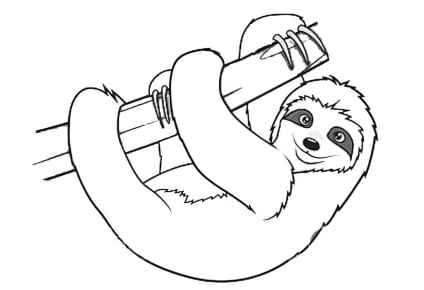 Sloth-Ausmalbilder-ausmalbilderkinder.de-14