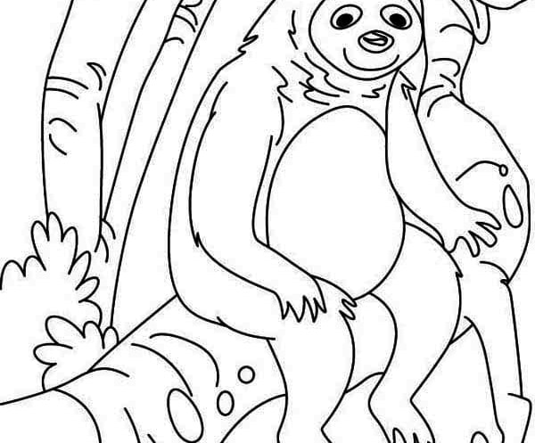 Sloth-Ausmalbilder-ausmalbilderkinder.de-22
