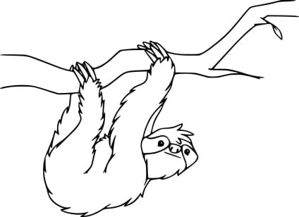 Sloth-Ausmalbilder-ausmalbilderkinder.de-34