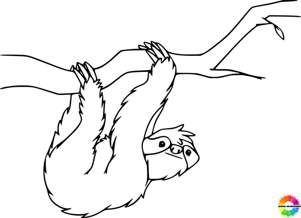 Sloth 34