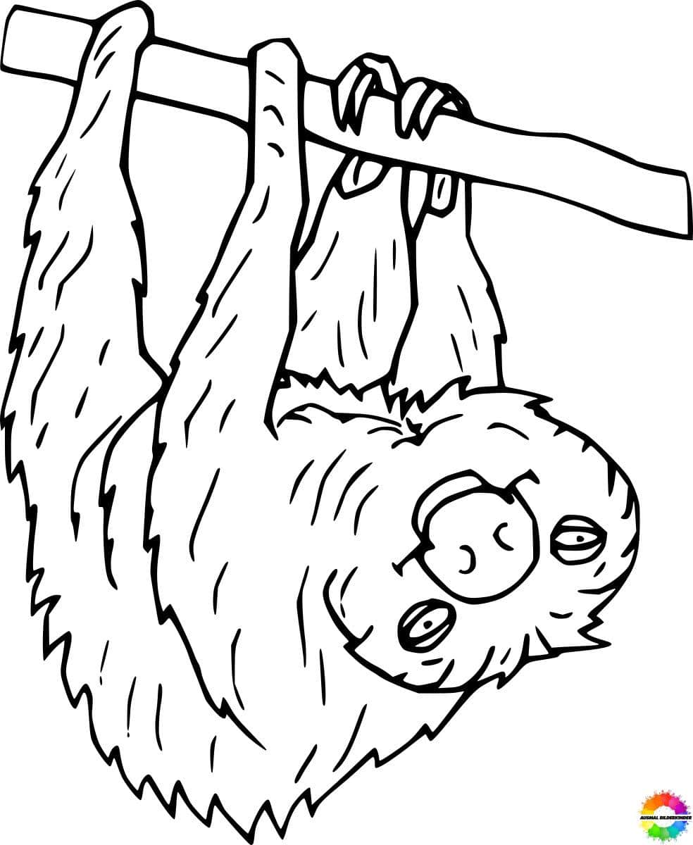 Sloth 39