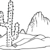 Kaktus 04
