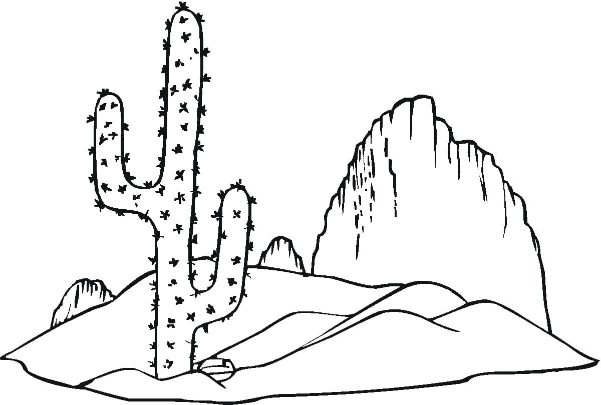 Kaktus 04