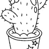 Kaktus 07