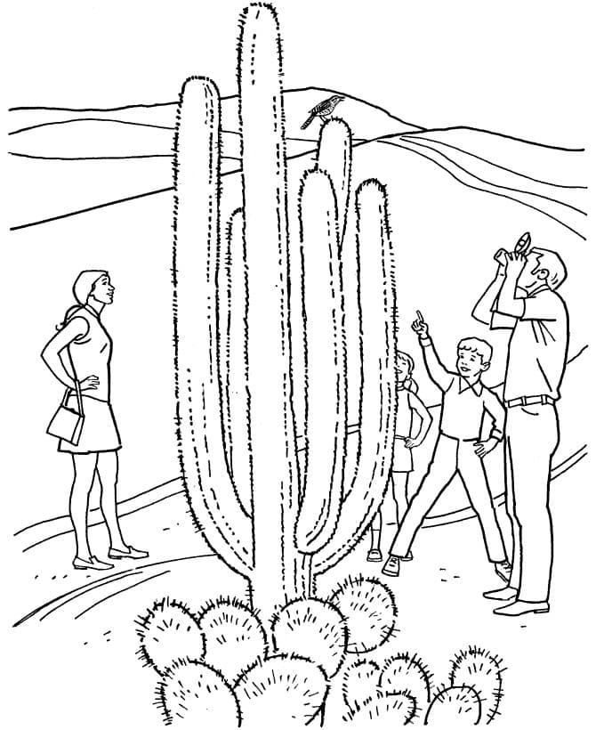 Kaktus-Ausmalbilder-ausmalbilderkinder.de-21