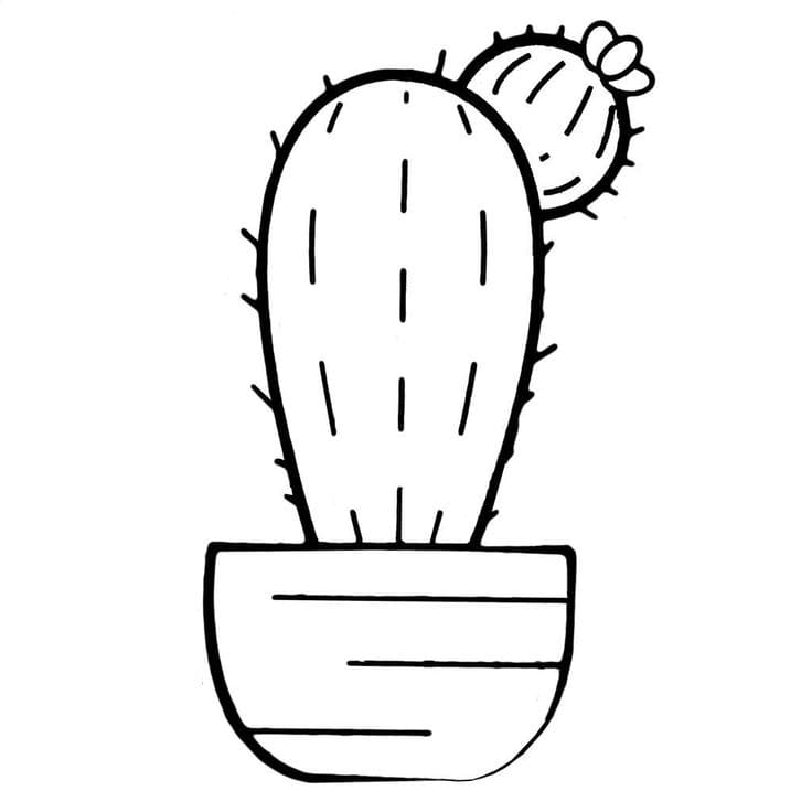 Kaktus-Ausmalbilder-ausmalbilderkinder.de-45