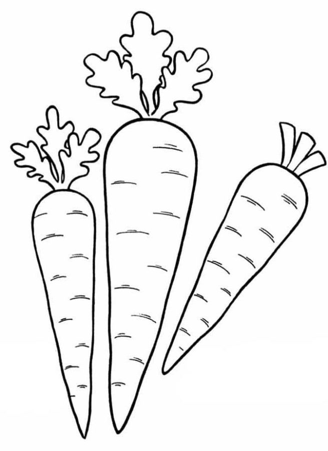 Free carrot coloring pages for kids to color