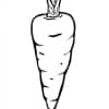 Karotten 10