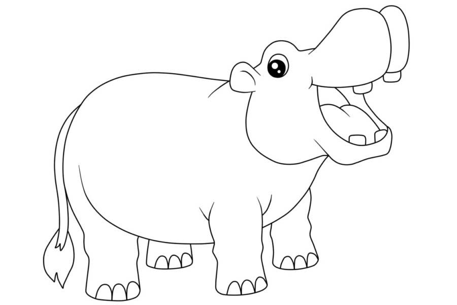 ausmalbilder nilpferd