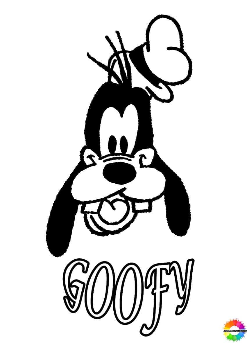 Goofy 36
