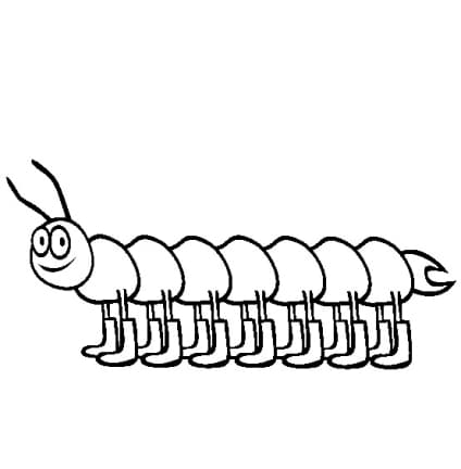 Insekten-Ausmalbilder-ausmalbilderkinder-de-1