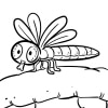 Insekten 12